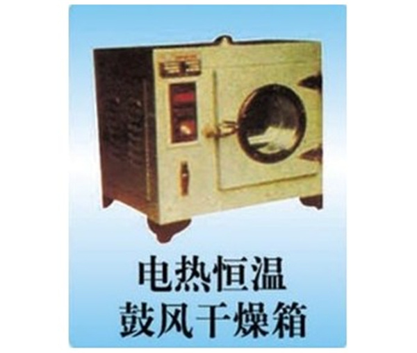 電熱恒溫鼓風干燥箱
